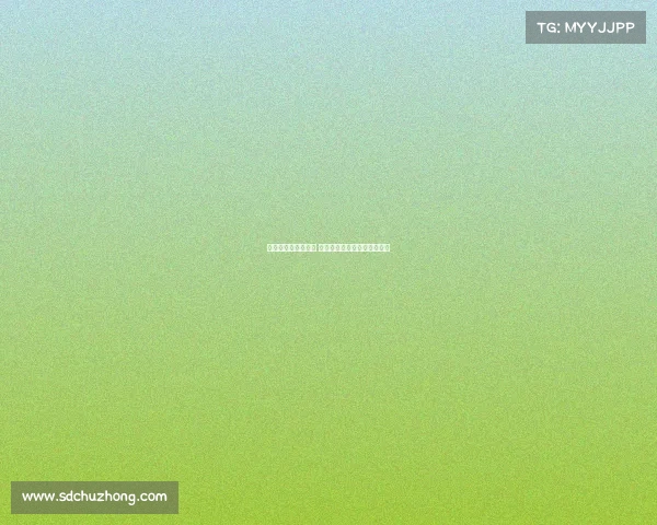 西甲冬窗引援大揭秘 各队补强策略与未来展望分析