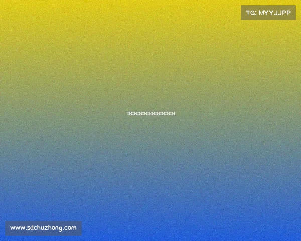 网球比赛中的战术布局与策略调整分析探讨