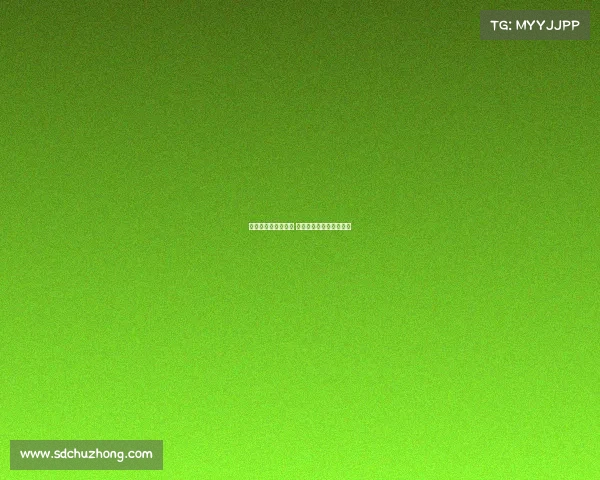 德甲外援引领新风潮 各国球员成球队核心力量